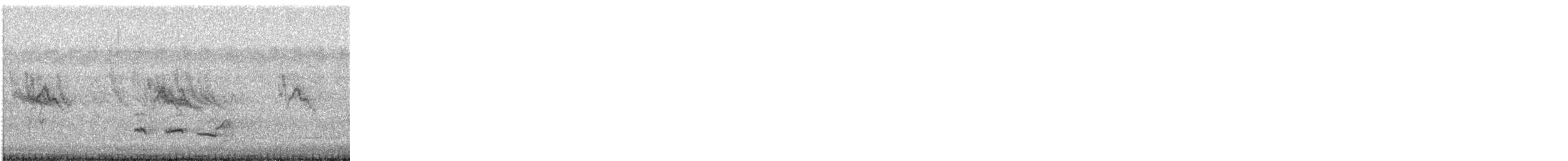 Red-wattled Lapwing (Black-necked) - ML647227221