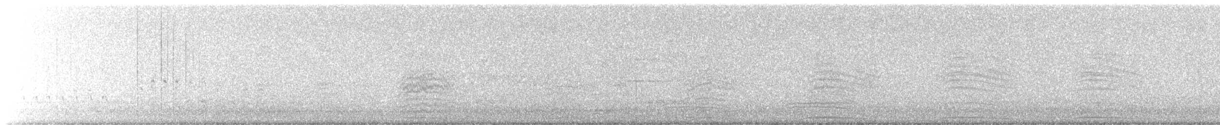 Tortora dal collare - ML647227477