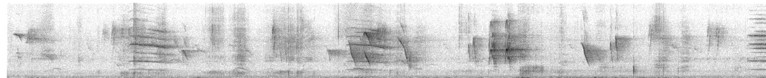 Black Bulbul (psaroides Group) - ML647227801