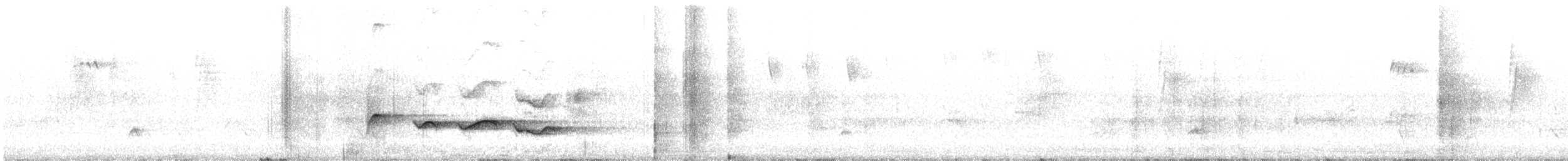 Rufous-backed Sibia (Rufous-backed) - ML647227809