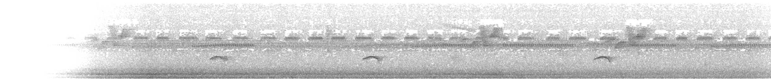 Mistletoe Tyrannulet - ML647228719