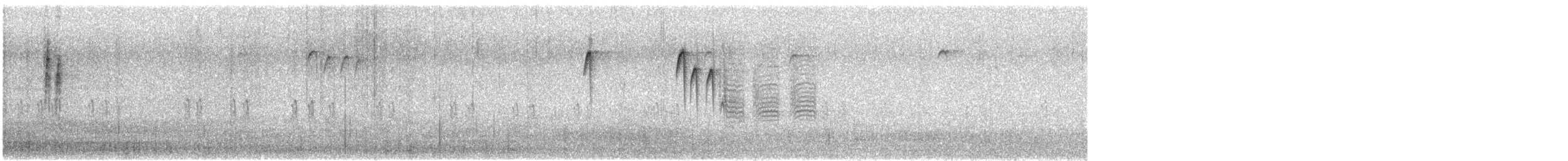 křivka bělokřídlá - ML647228788