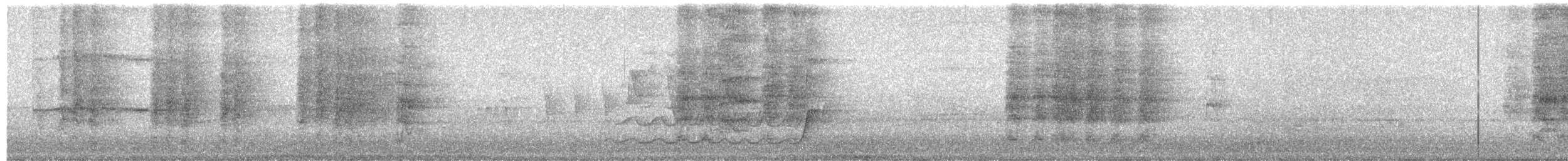 vlhovec velkoocasý - ML647228888