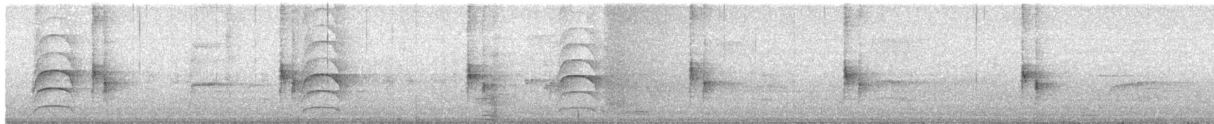 Great Kiskadee - ML647228923