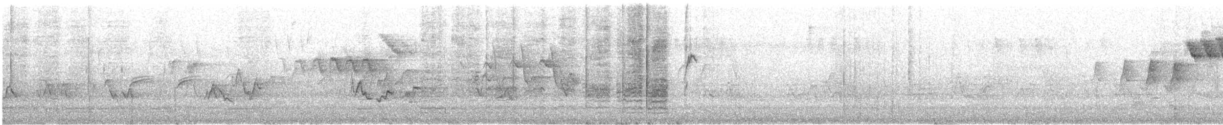 Red-eyed Vireo - ML647228960