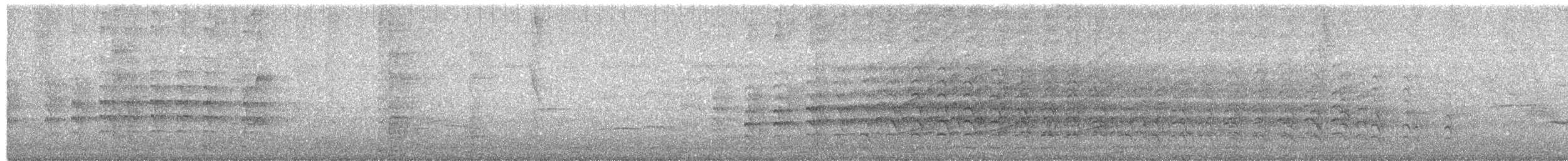 Southern Lapwing - ML647228971