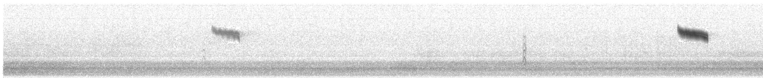 drozd cvrčala - ML647229377