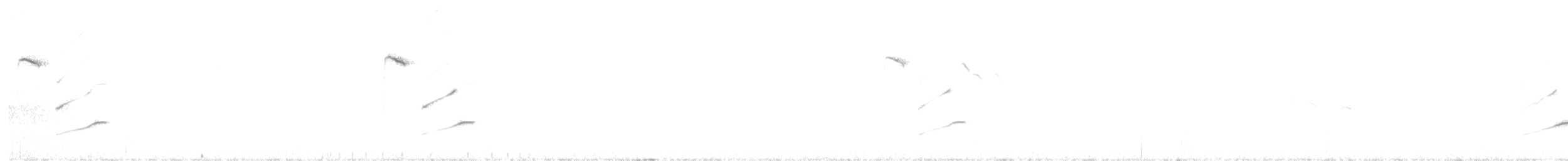 sýkora koňadra - ML647229381