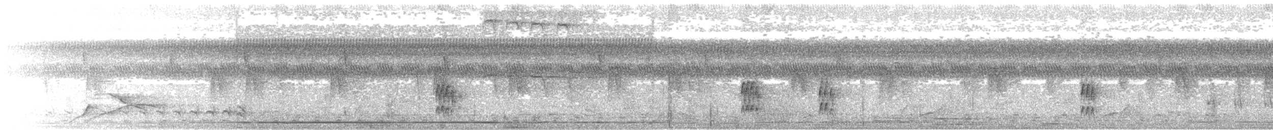 Dusky Antbird - ML647229538