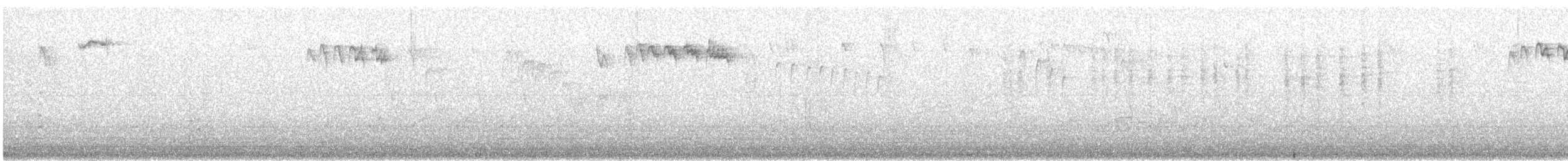 králíček zlatohlavý - ML647229540