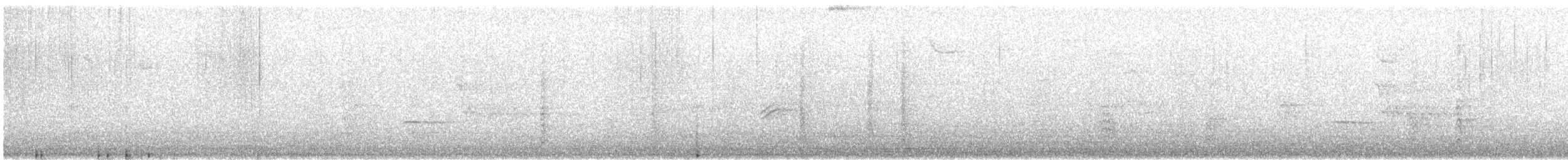 datel karolínský - ML647229562