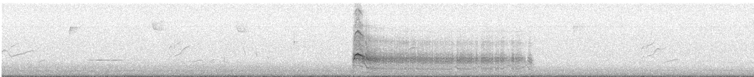 káně rudochvostá - ML647229565