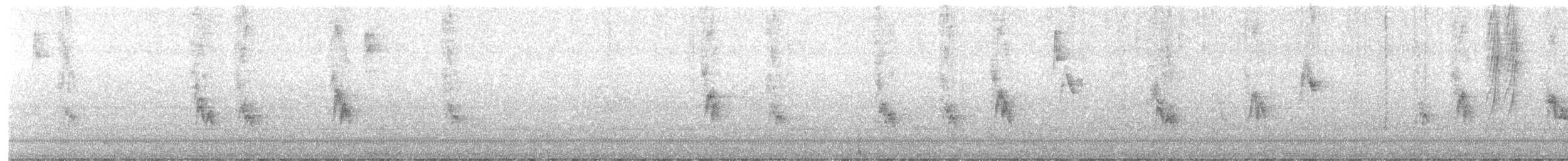 vrabec domácí - ML647229628