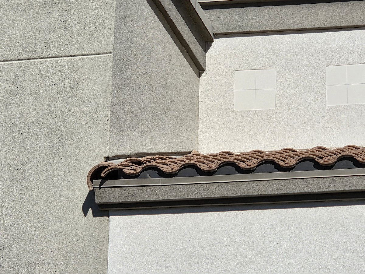 House Sparrow - ML647229710