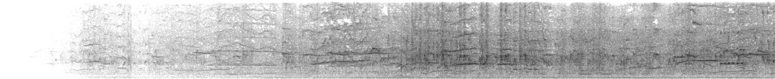 vlhovec velkoocasý - ML647229783