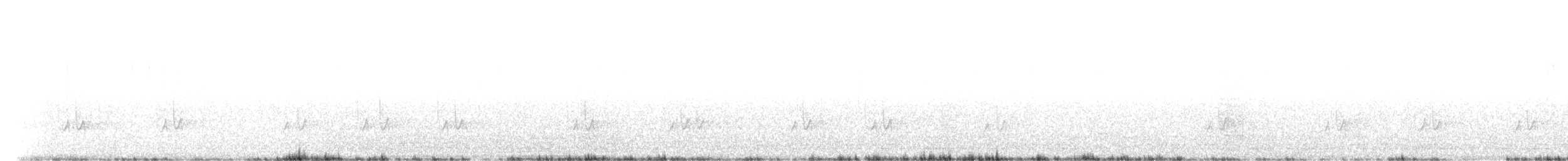 brhlík lesní - ML647229802