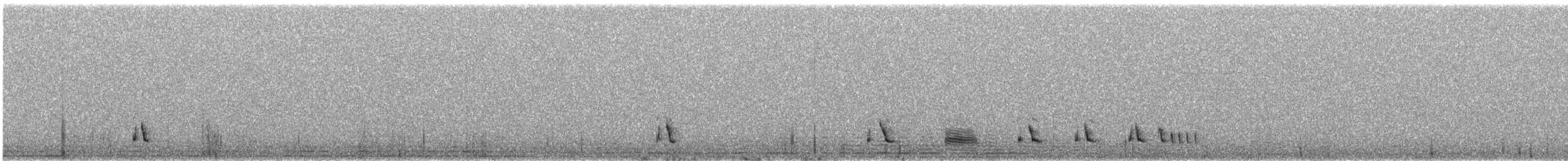 Many-colored Rush Tyrant - ML647230570