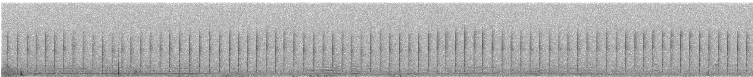 Junquero troglodyte - ML647230574