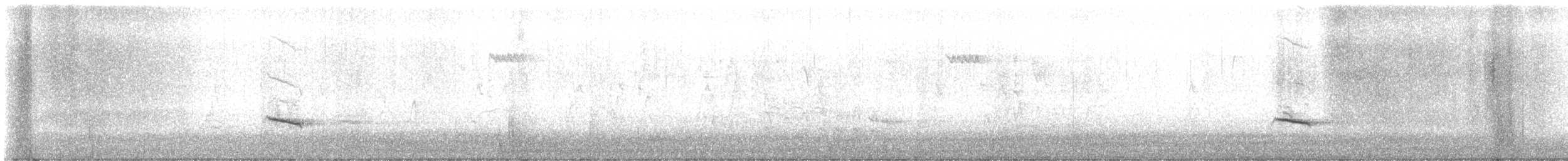 Hermit Thrush - ML647230721