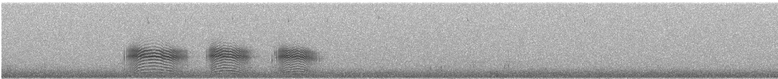 Рара червоновола - ML647230789