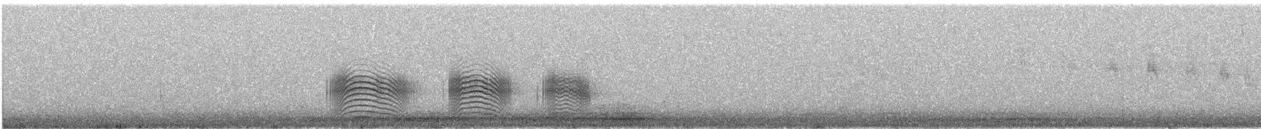 Рара червоновола - ML647230790