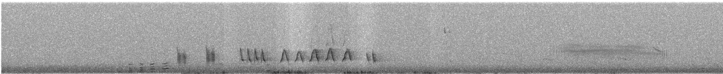 Brown-backed Mockingbird - ML647230979