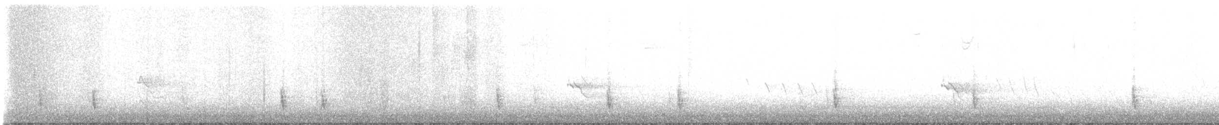 Hermit Thrush - ML647232164