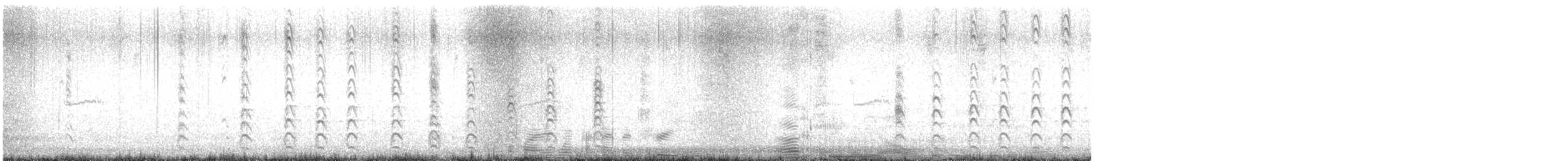 Black-necked Stilt - ML647232172