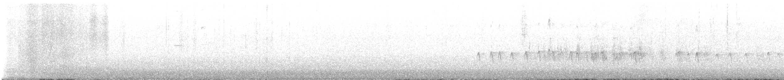 Шишкар ялиновий - ML647232615