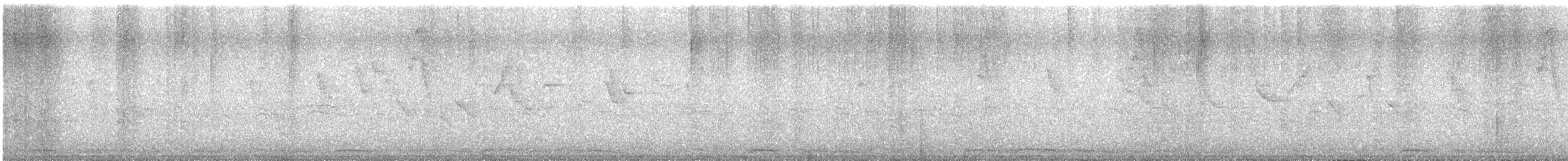 Spotted Dove - ML647232761