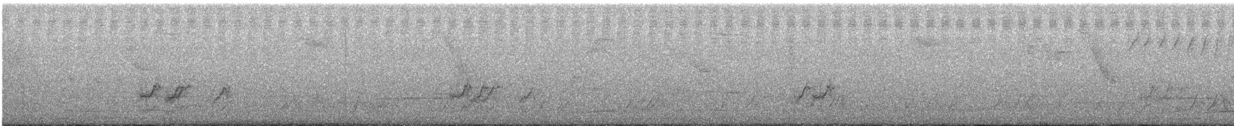 Barred Parakeet - ML647232764