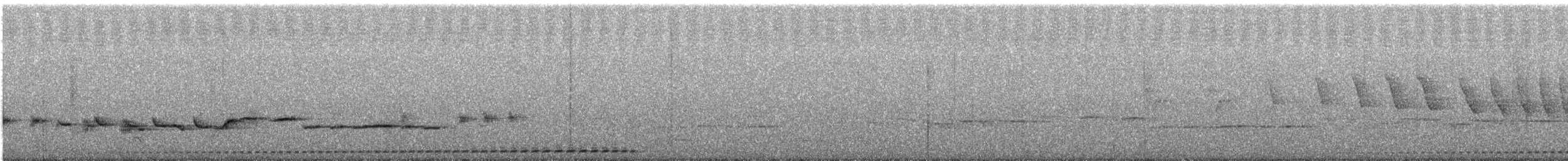 skjellmaurpitta - ML647232799