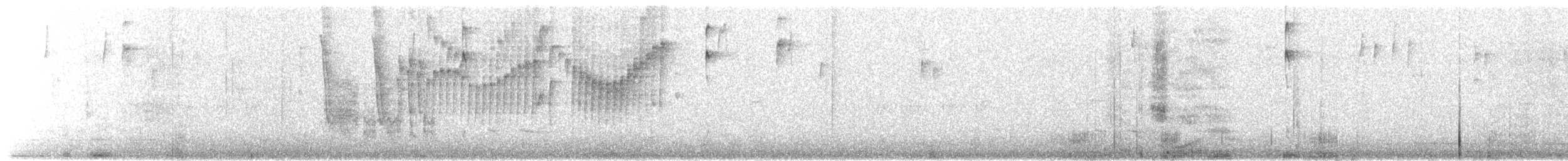 レモンアメリカムシクイ（euophrys） - ML647233159