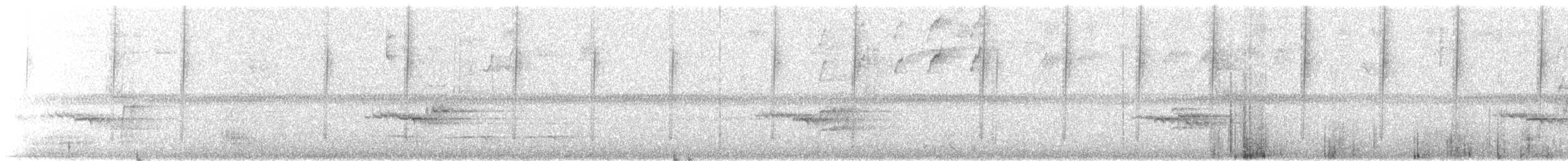 Calzadito Verdoso Sureño - ML647233623