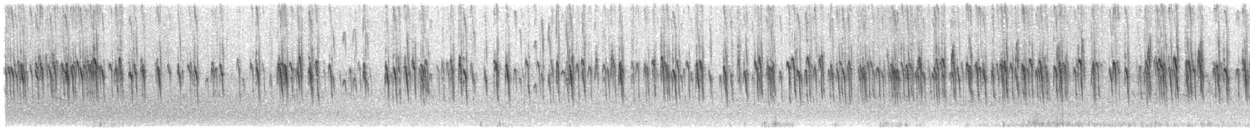 アフリカギンバシ - ML647233757