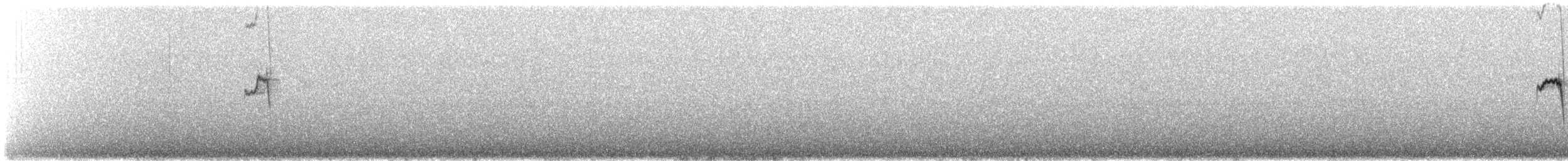 Brown-backed Chat-Tyrant - ML647234737