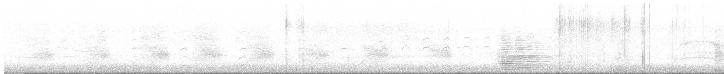 Steller's Jay - ML647234879