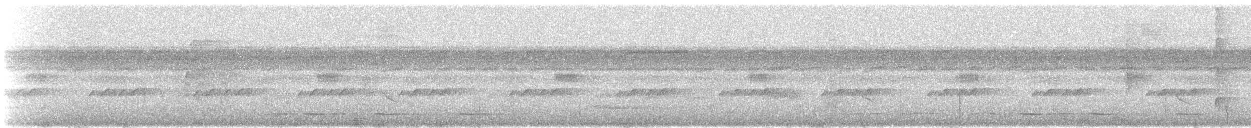 Mochuelo de Parker - ML647234900