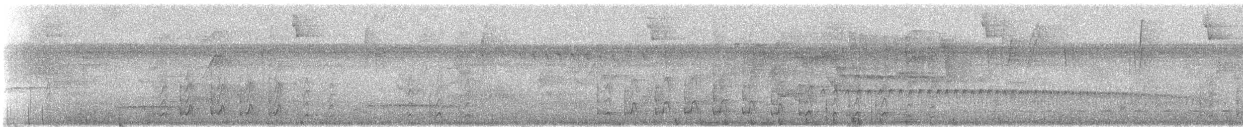 Carpintero Gorjiblanco - ML647234906