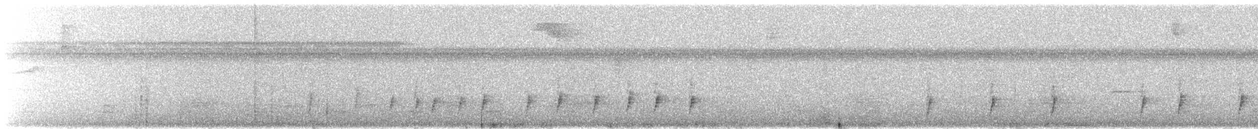 Двухполосый певун (bivittata/argentinae) - ML647235001