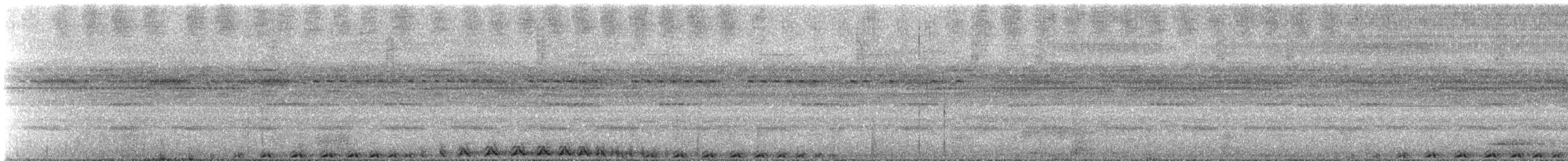 Band-bellied Owl - ML647235264