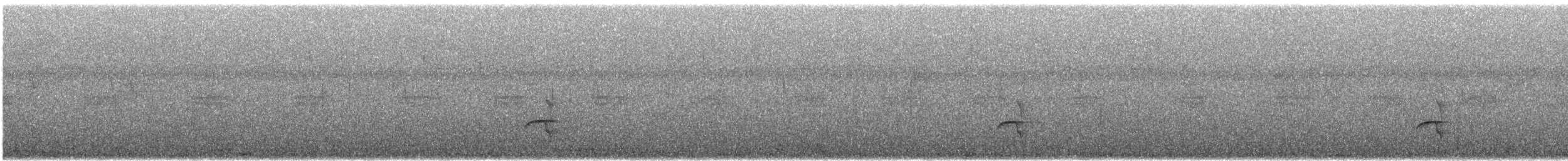 Tropical Royal Flycatcher (Amazonian) - ML647235359