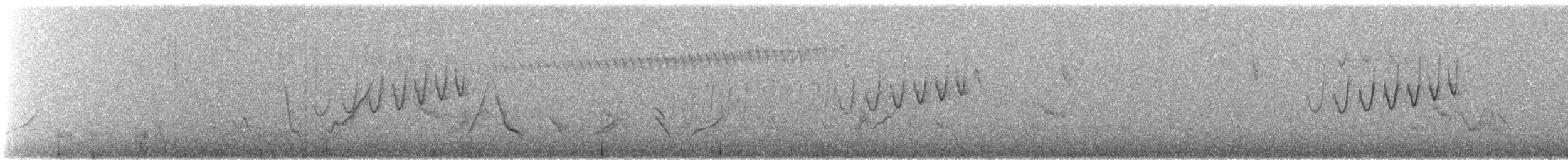 Maquis Canastero - ML647235942