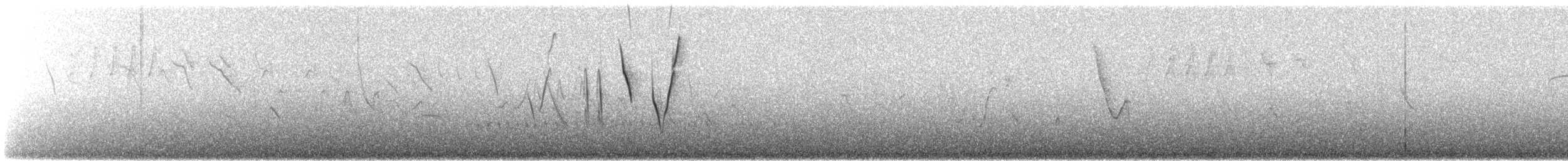 Bolivian Warbling Finch - ML647235984