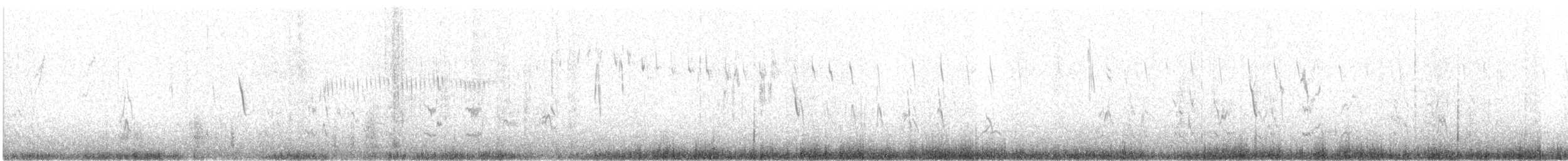 Sicale à croupion jaune - ML647236425