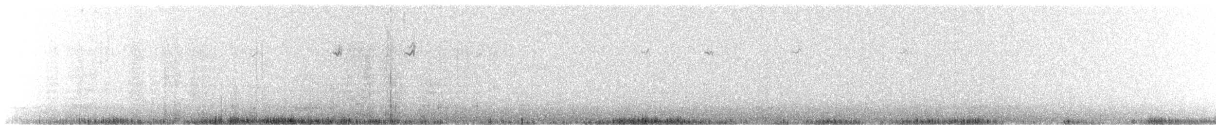 Idiopsar à queue courte - ML647236438