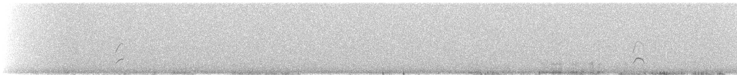 Géositte à bec grêle - ML647236507