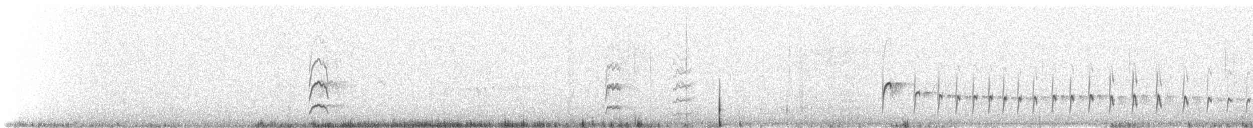 Géositte à bec grêle - ML647236508