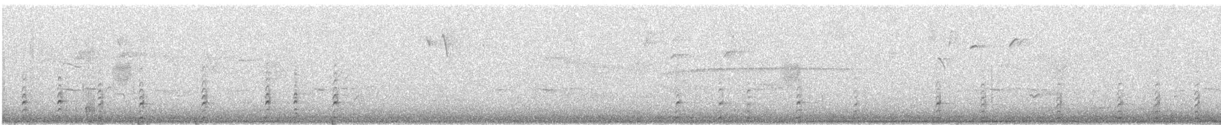 Toucan à capuchon - ML647236580