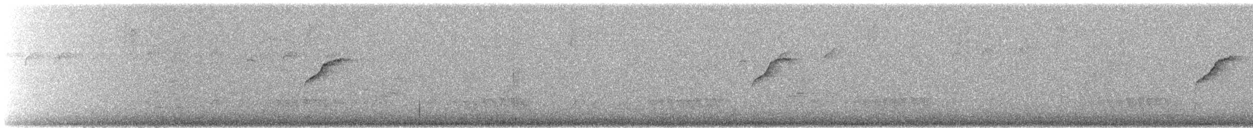 Pitajo à sourcils d'or - ML647236596